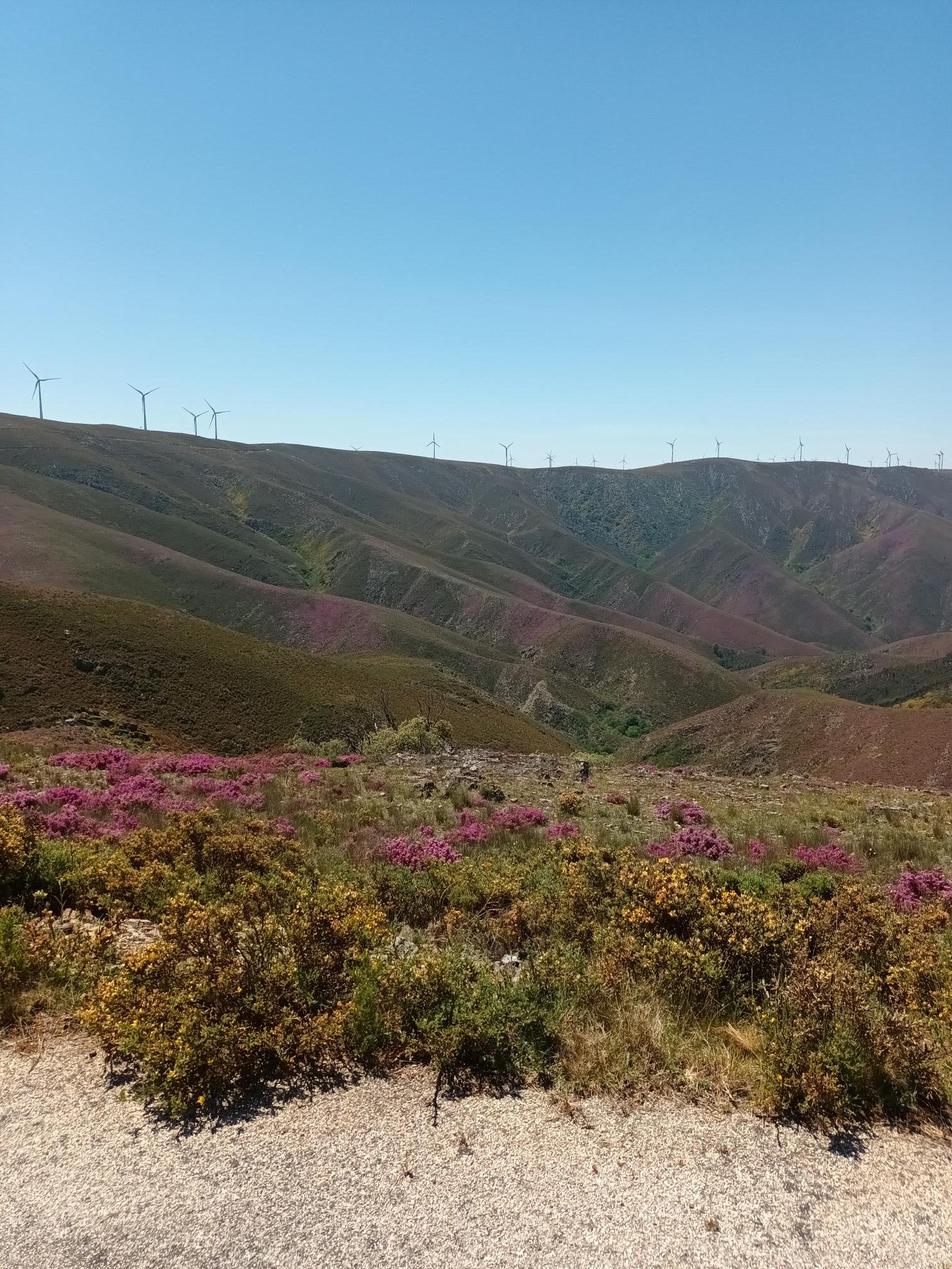 corgatours